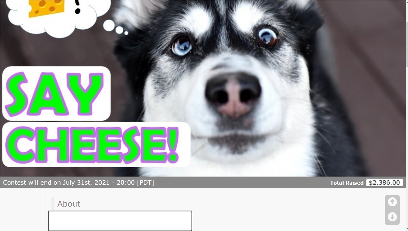 screenshot of Make My Contest